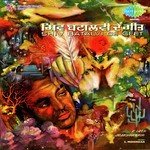 K. Deep Songs MP3 Download
